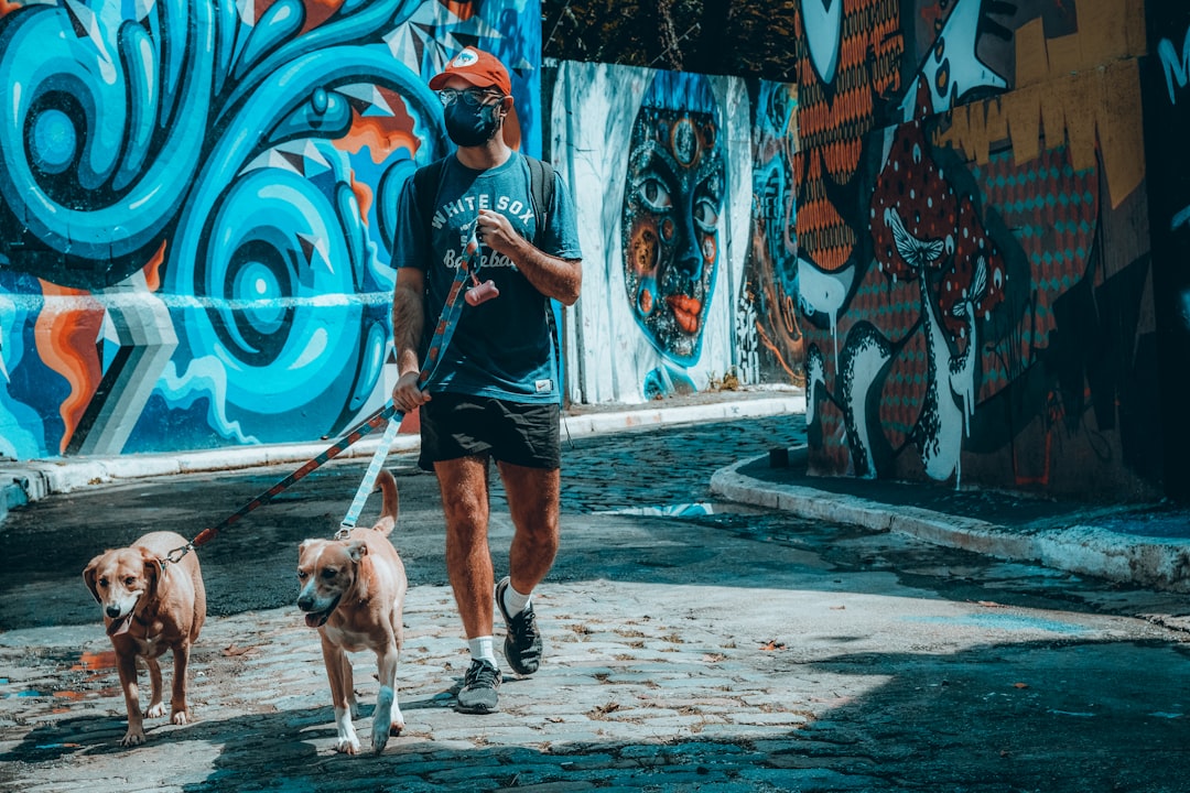 man in black t-shirt and blue denim shorts holding brown and white short coated dog