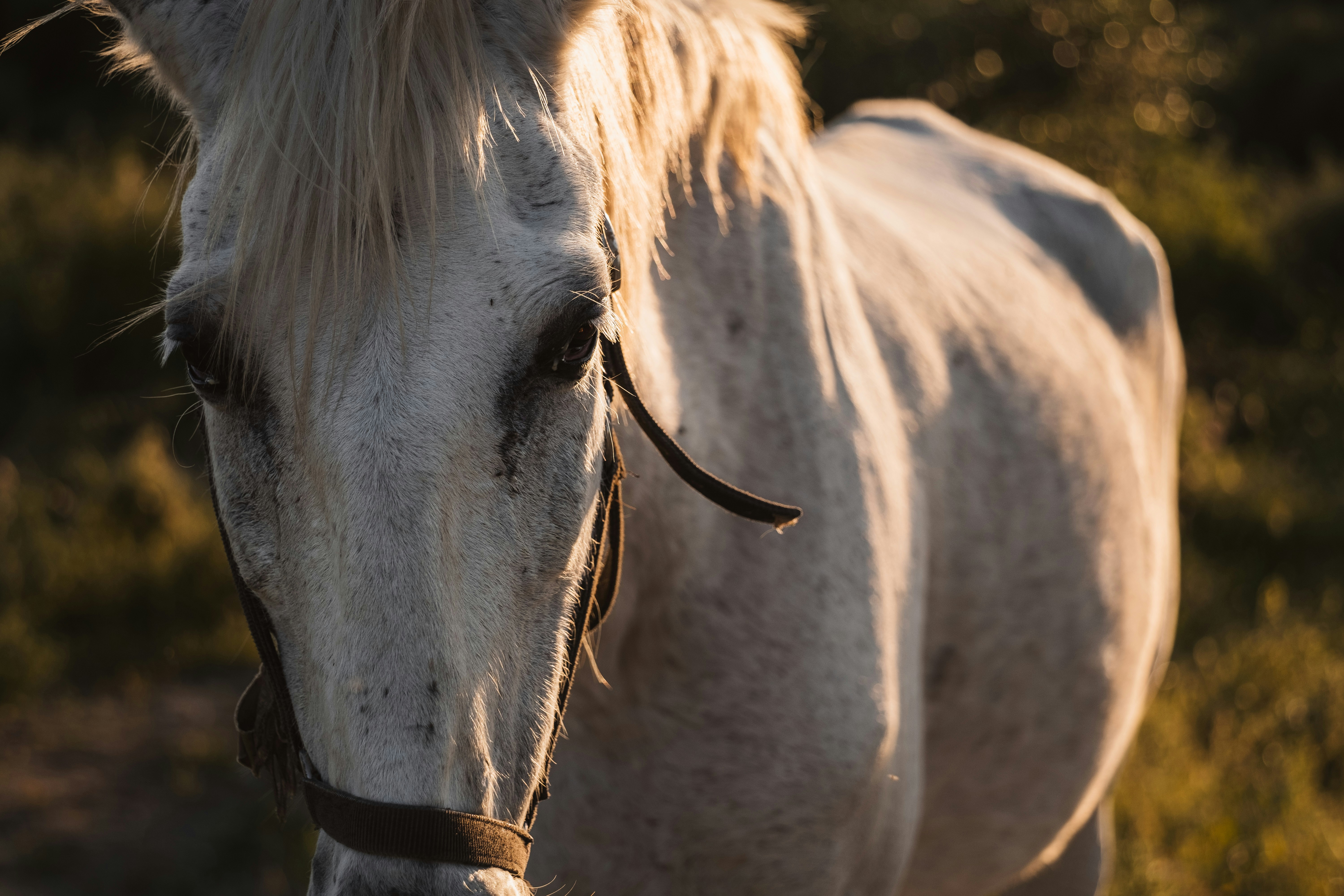 Photo by victor_vector