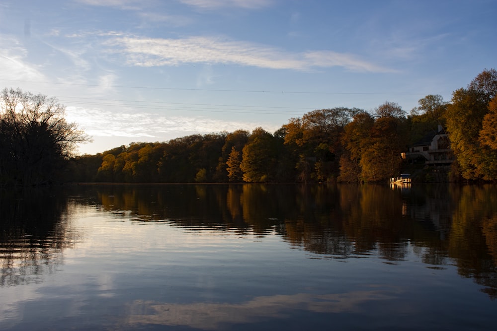 brown trees beside body of water under blue sky during daytime