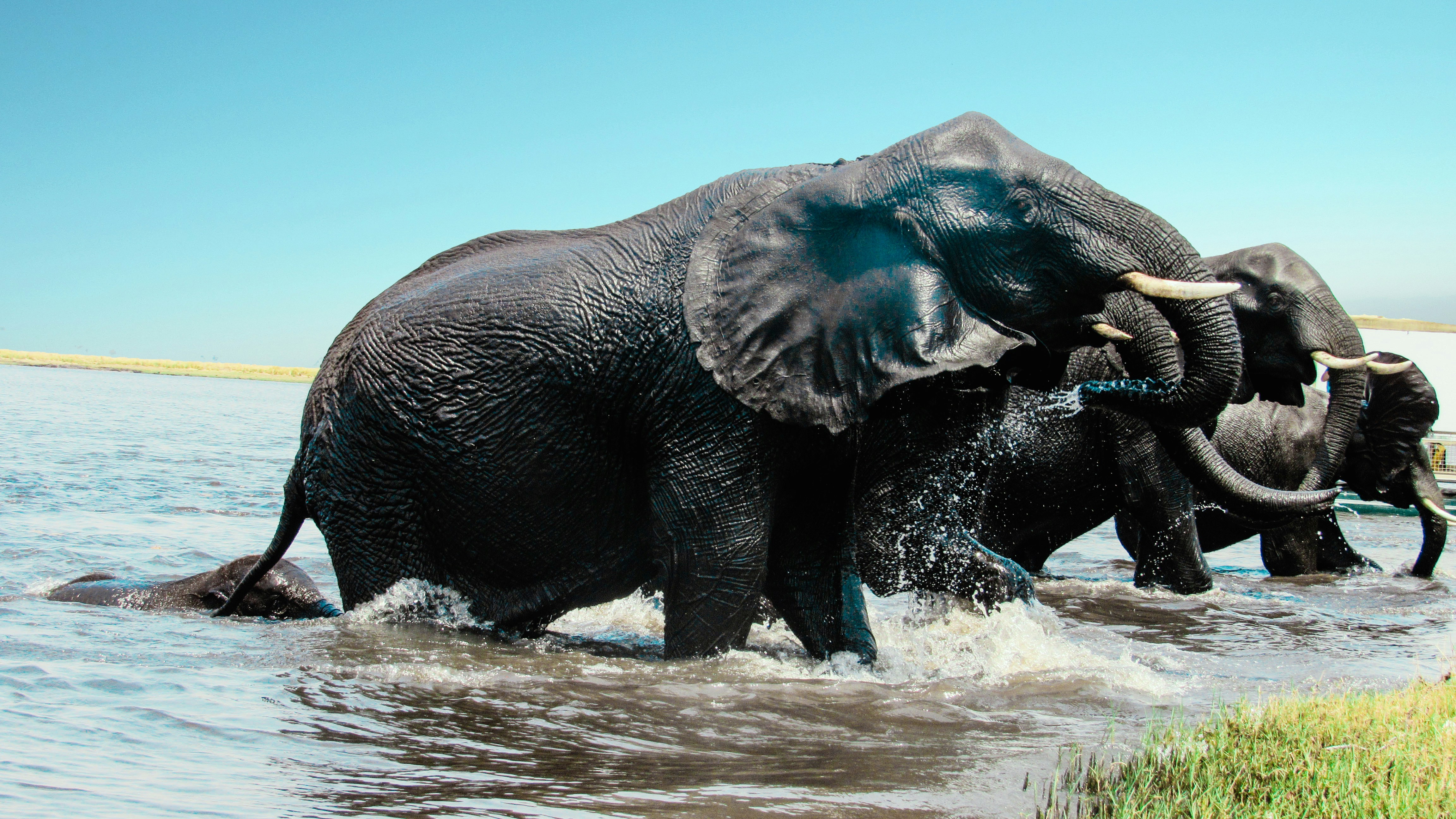 Photo by ramonbucard