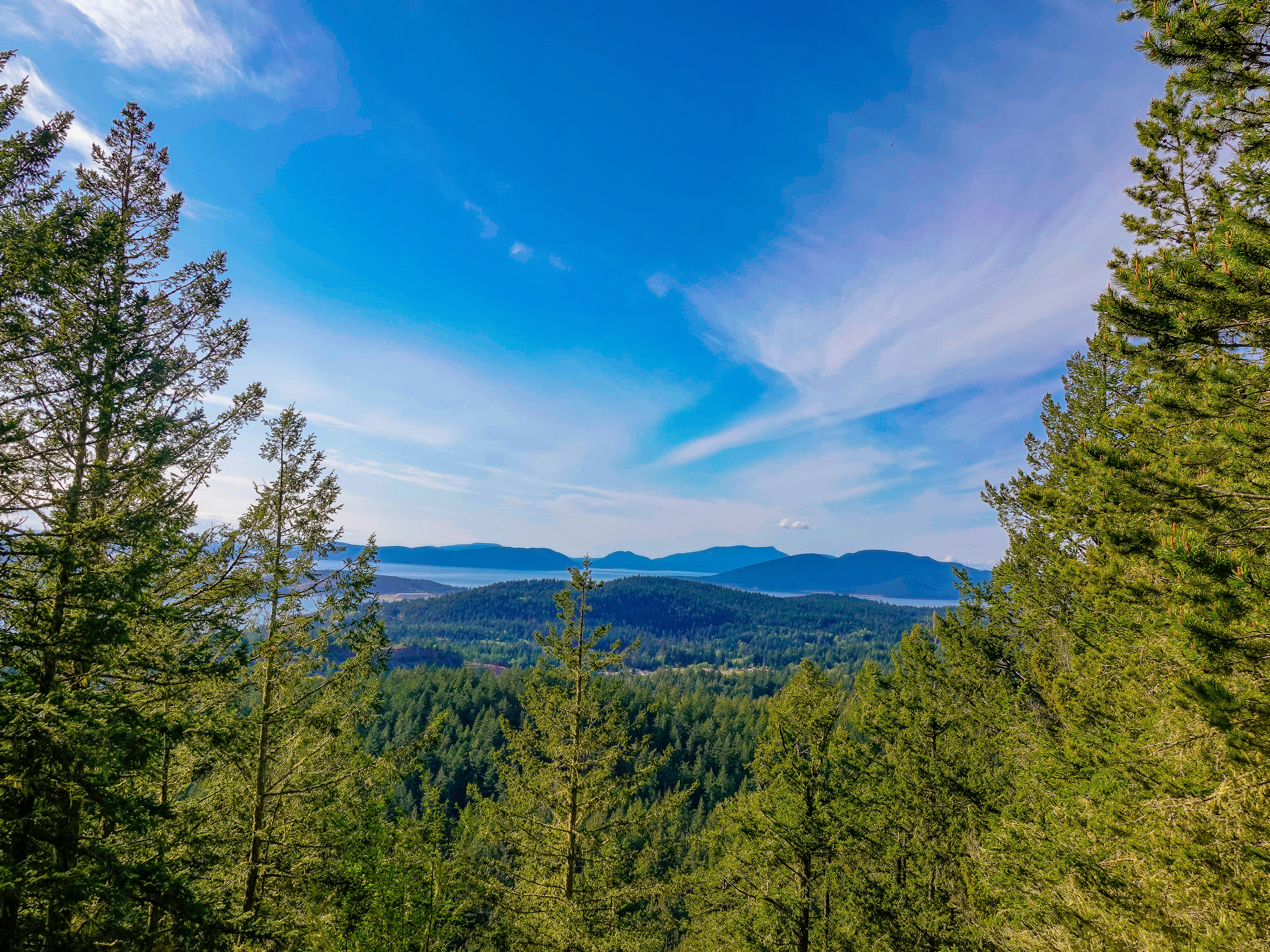 Photo by pavlpolo_official