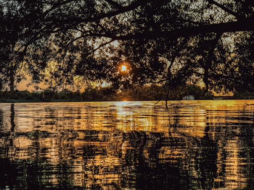 A serene view of the Sunderban mangrove forest with a boat gliding through calm waters at sunset.
