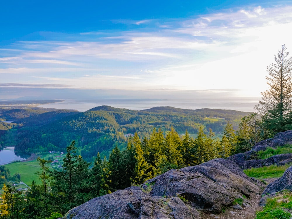 昼間の青空の下、山の緑の木々