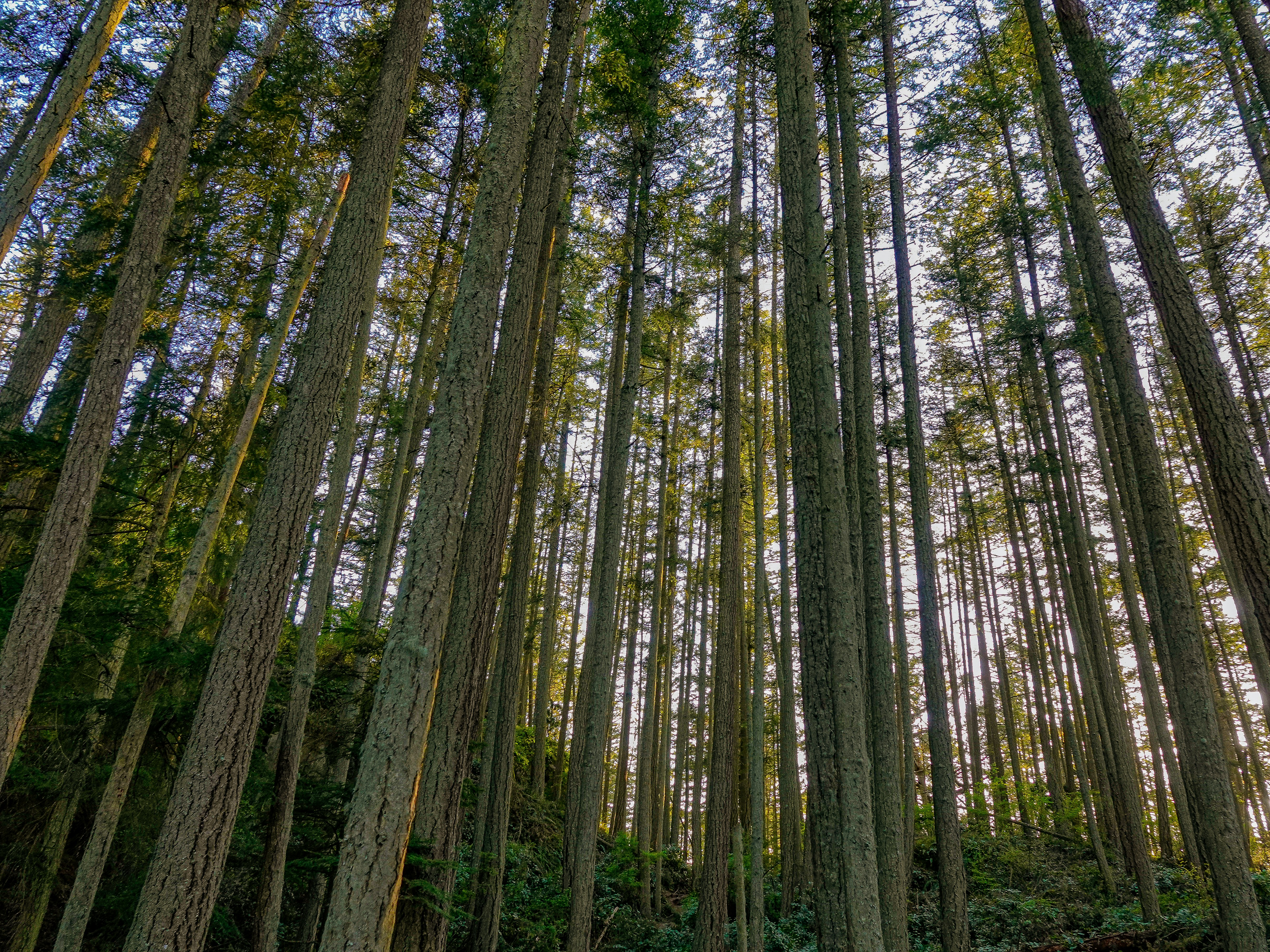 Photo by pavlpolo_official