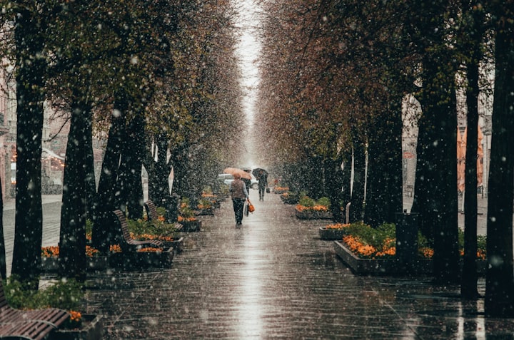 Blissful in the Rain