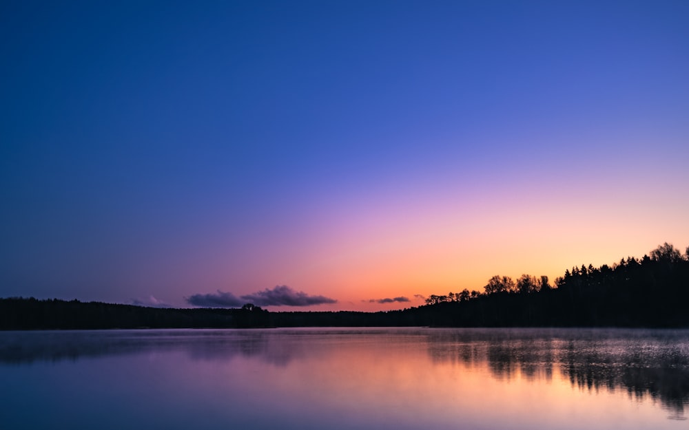 silhouette of trees near body of water during sunset