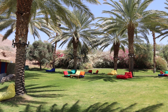 An inviting outdoor garden space with soft cushions and gentle palm shadows for restful moments.