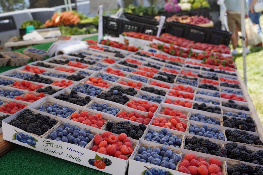 assorted fruits on display in market