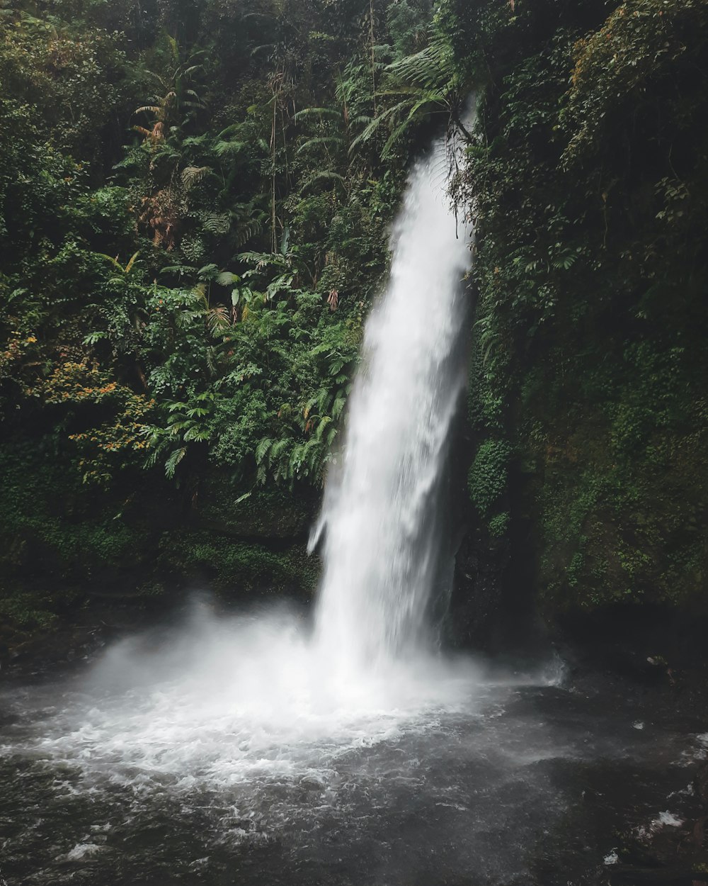 waterfalls in the middle of the forest