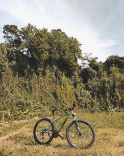 A vibrant mountain bike displayed outdoors on a trail surrounded by greenery.