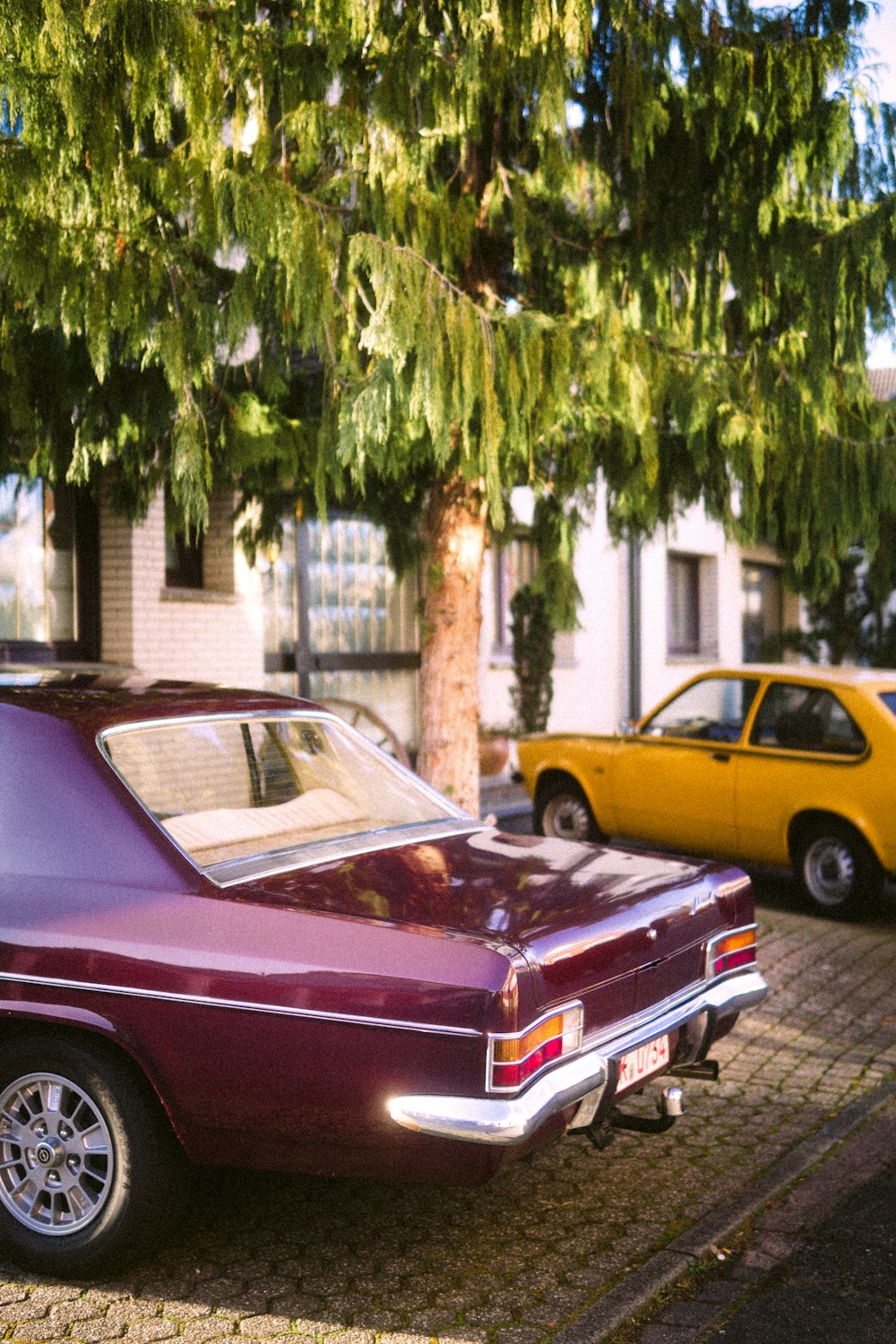 black car parked near green tree during daytime