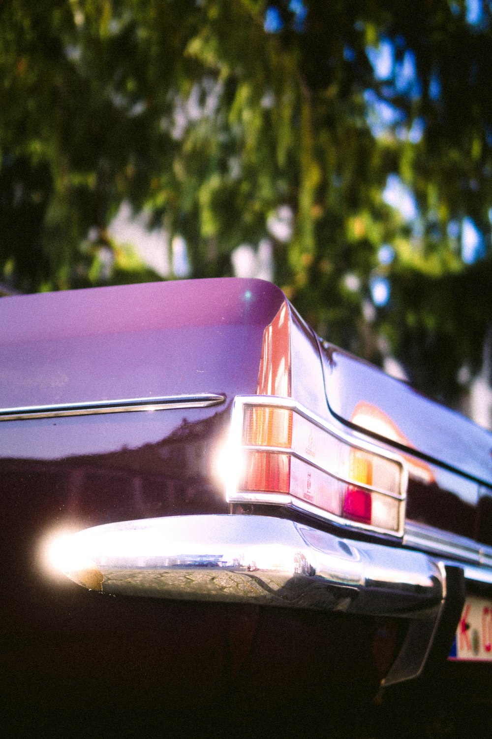 blue car in front of green trees during daytime