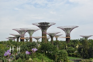 purple flowers near gray concrete bridge under white clouds during daytime