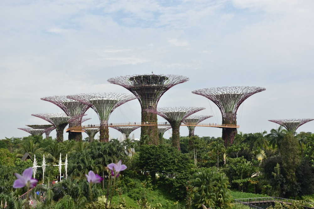 fleurs violettes près du pont en béton gris sous les nuages blancs pendant la journée