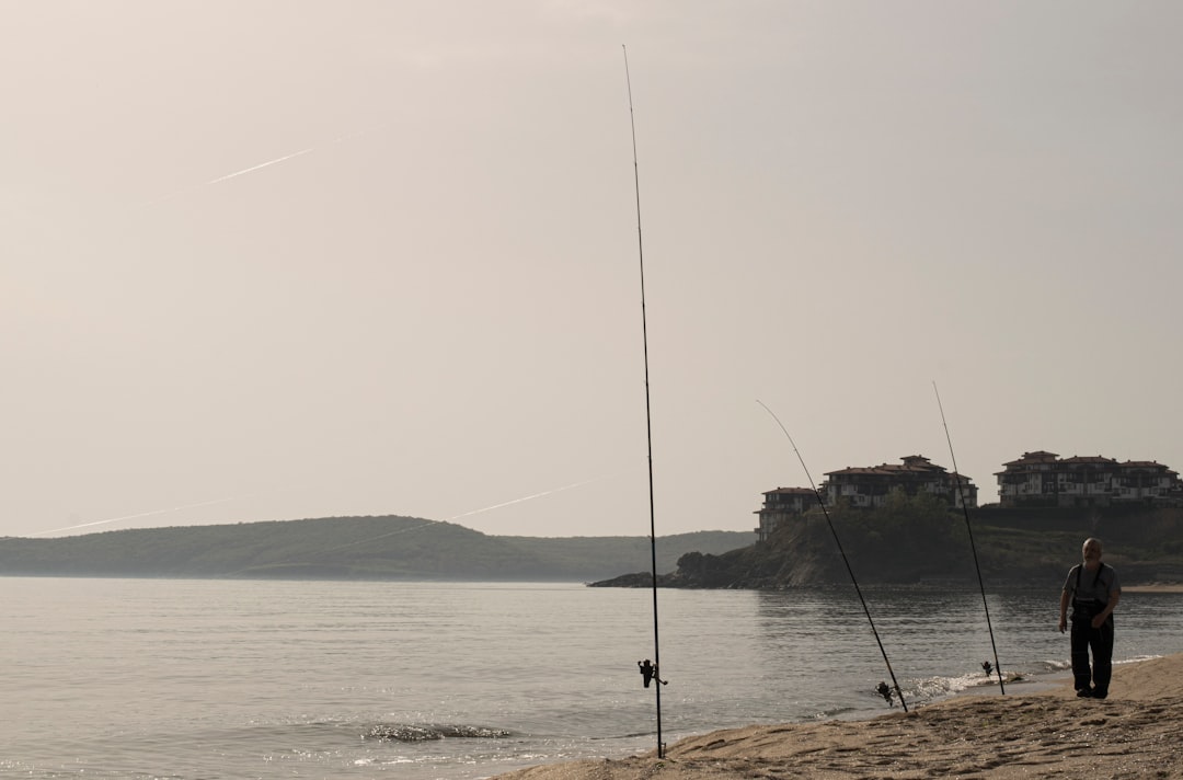 black fishing rod on seashore during daytime