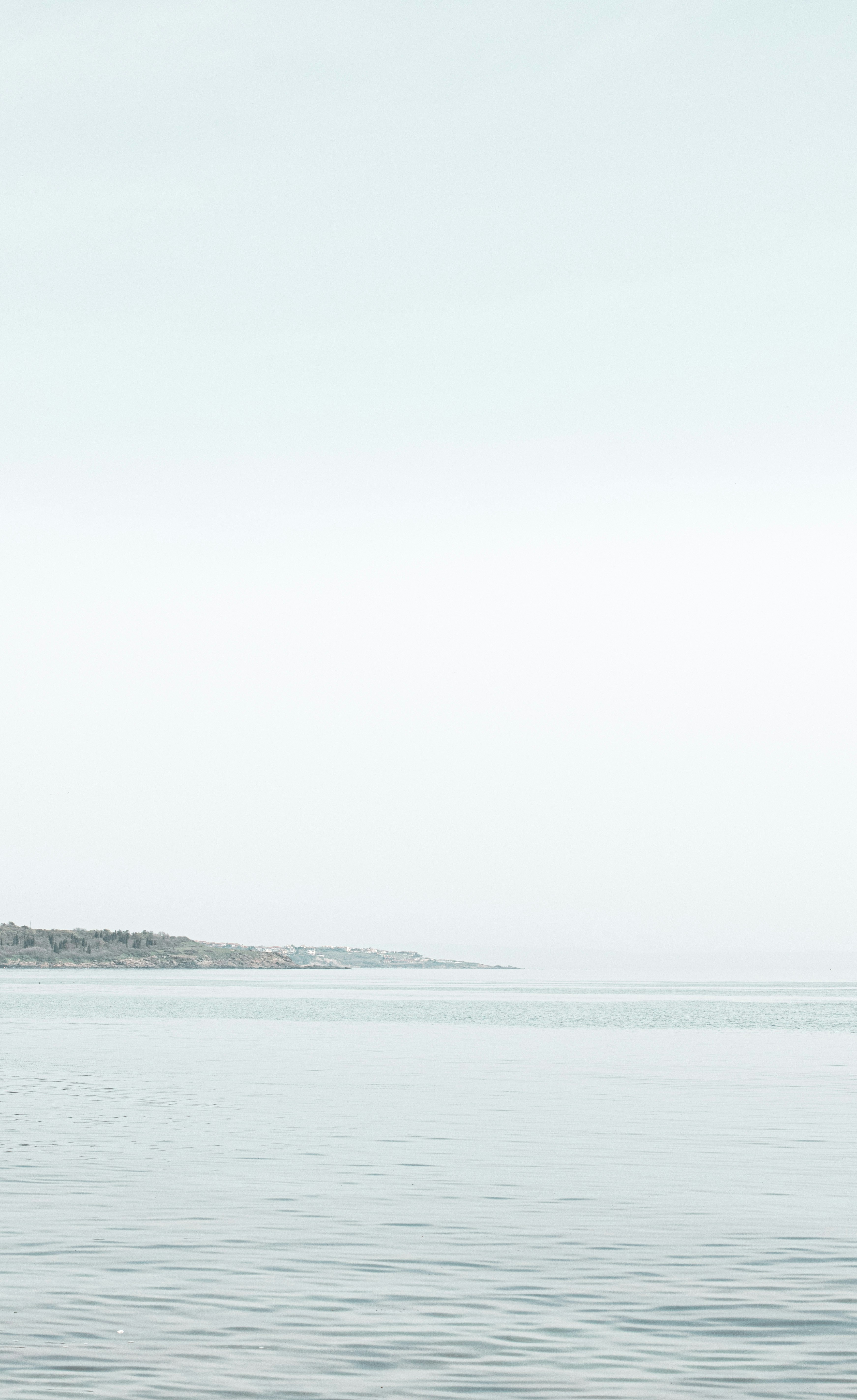 Photo by danielabeleva