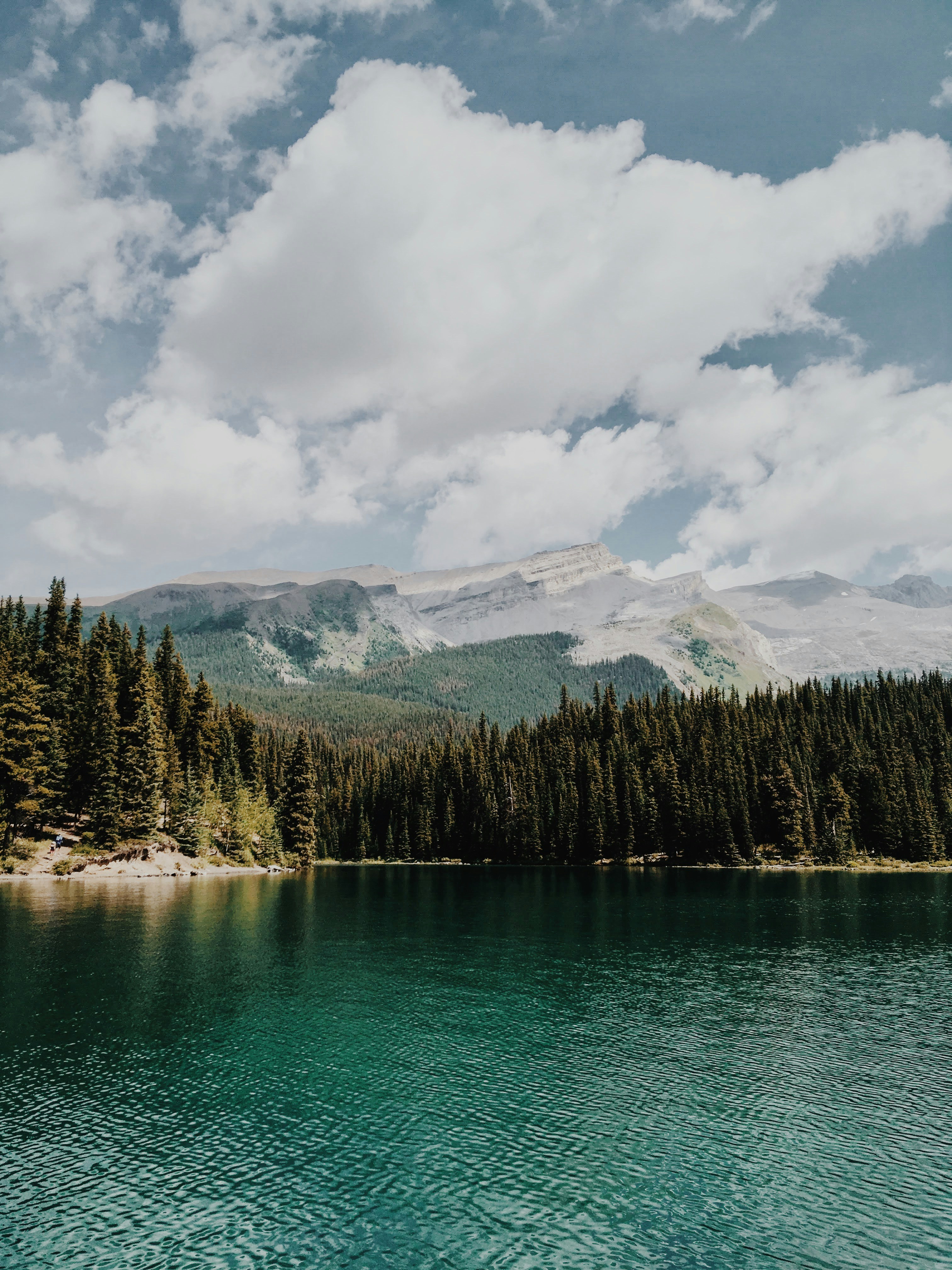 Photo by artofremembering