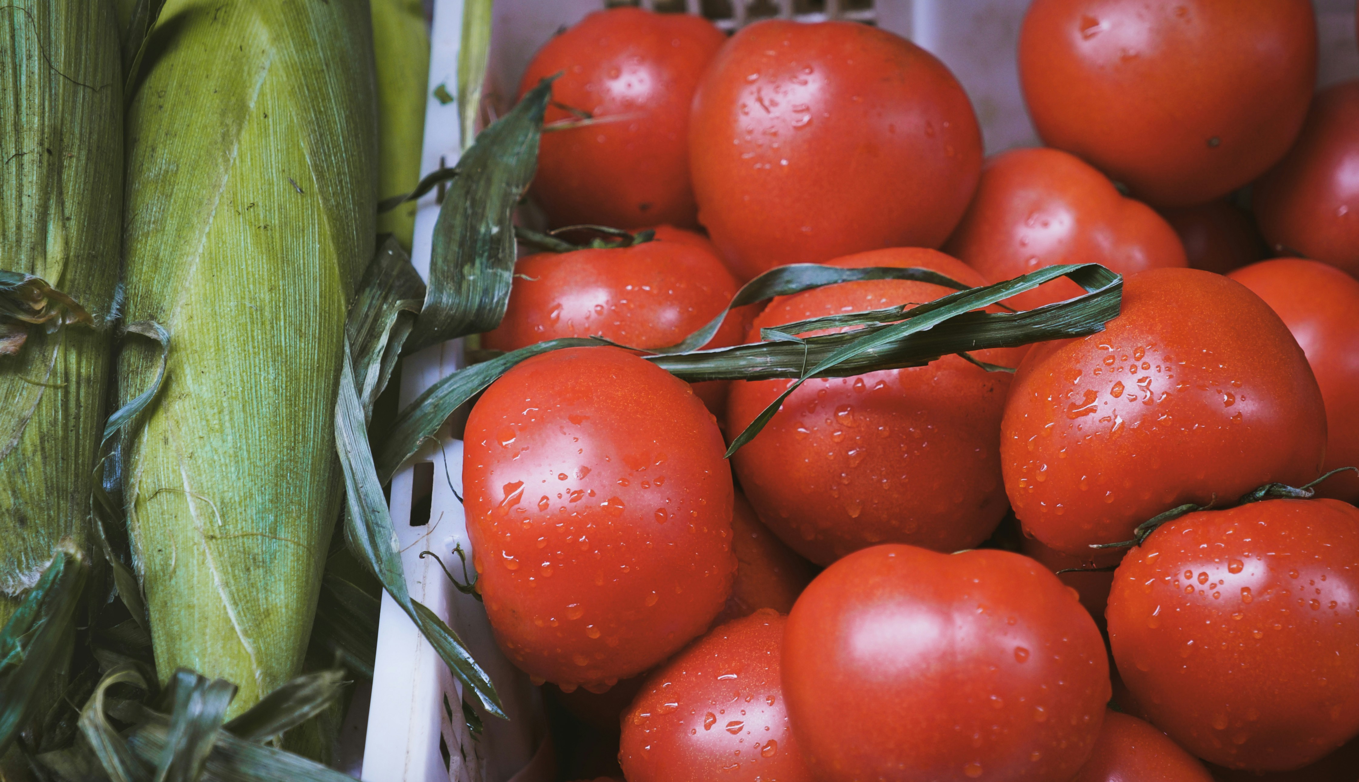 Photo by xiaomie99999