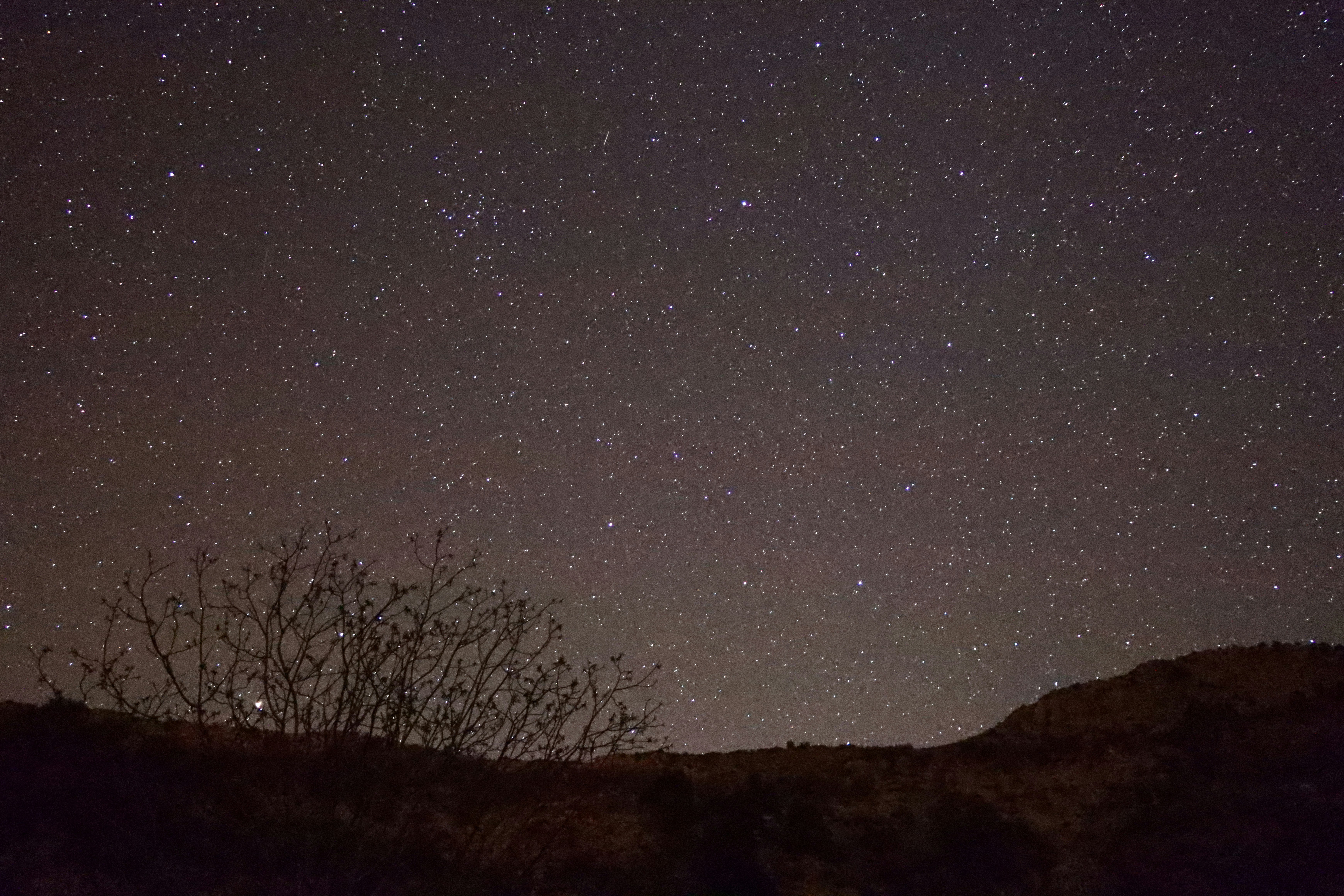 Photo by samanziyaie