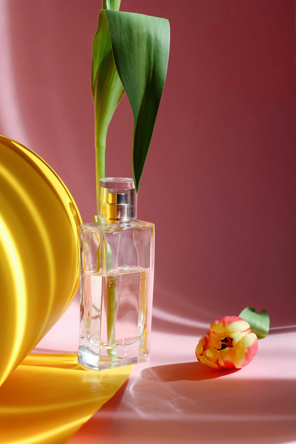 clear glass bottle with green plant