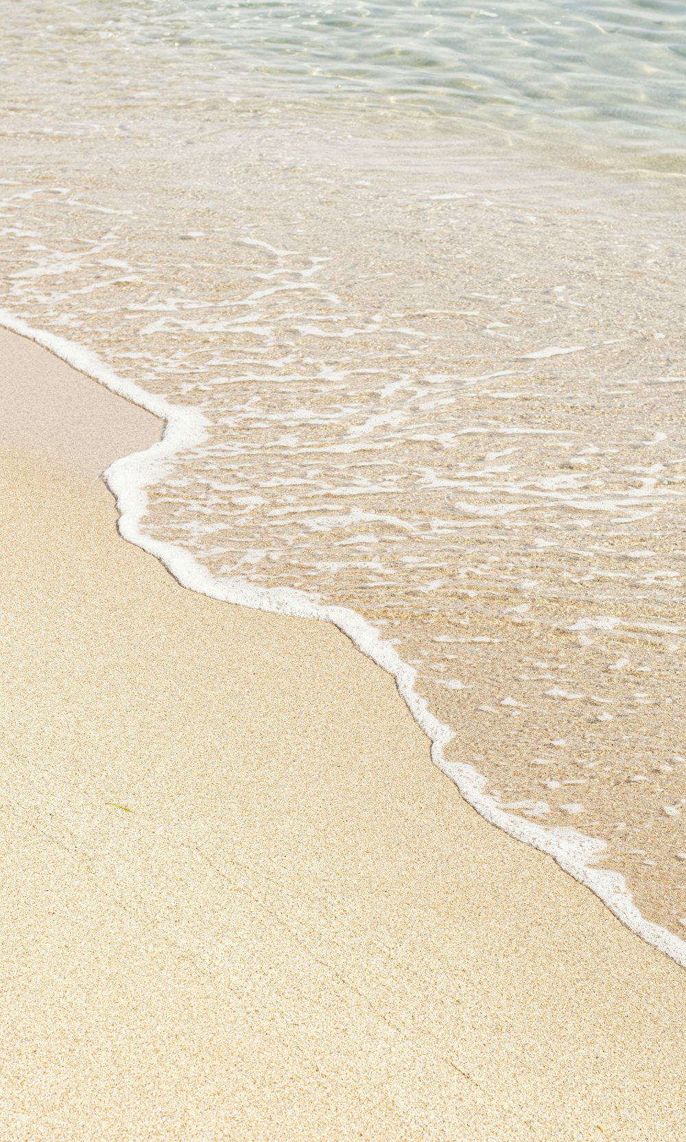 昼間の茶色の砂浜の写真 Unsplashで見つける茶色の無料写真