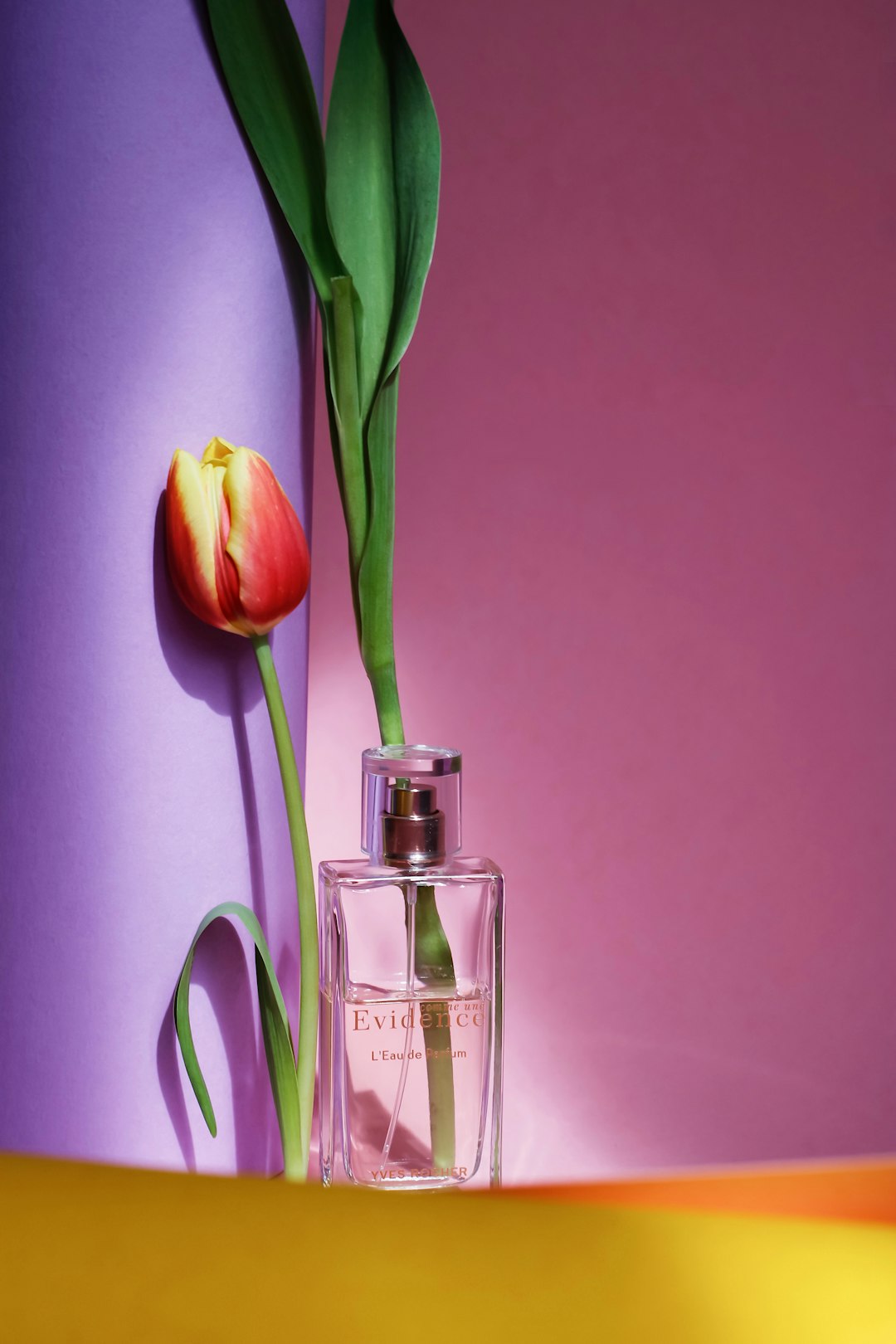 yellow tulips in clear glass bottle