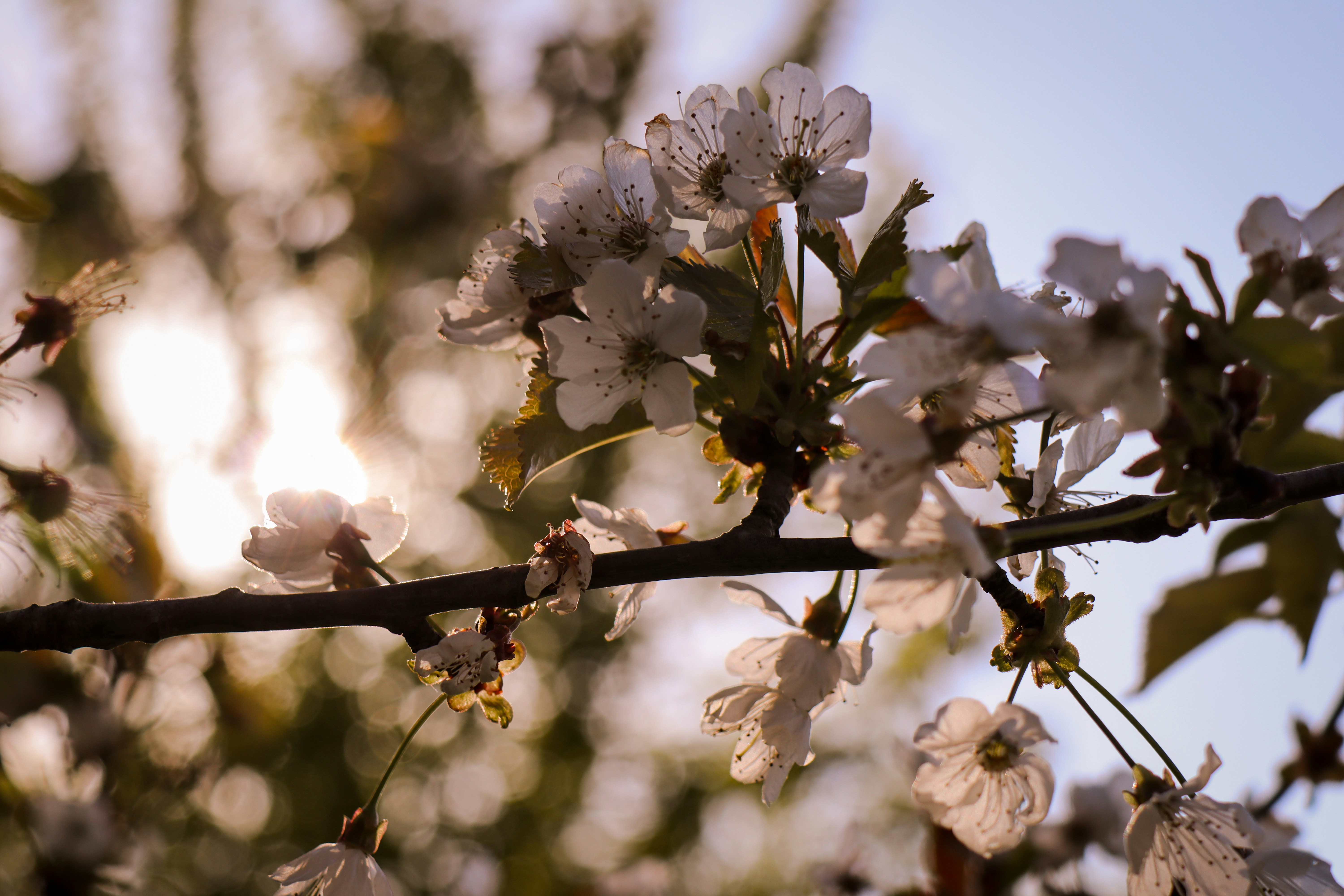 Photo by emblarynke