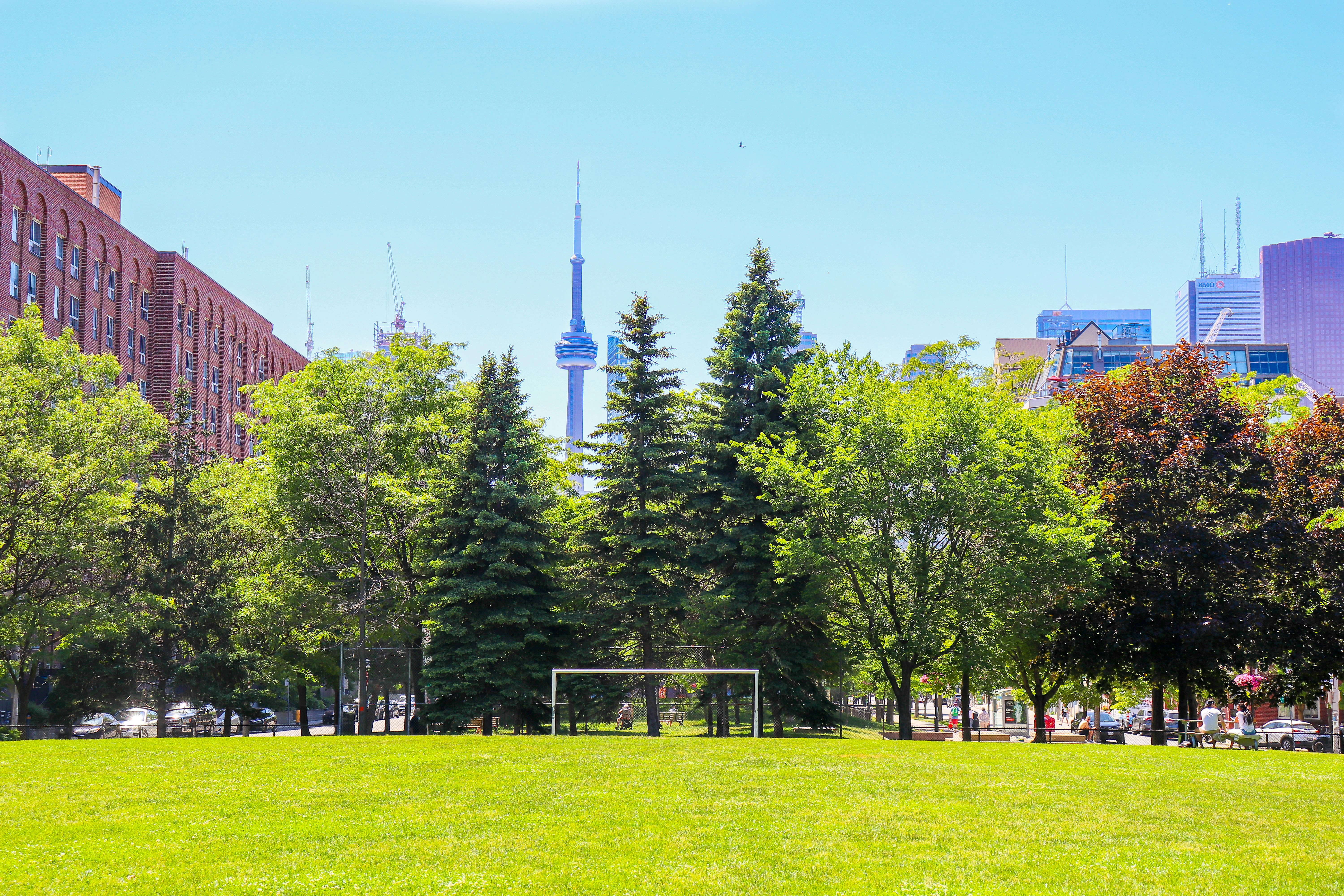 green trees on green grass field during daytime