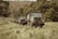 Two military-style trucks are parked on a grassy field surrounded by dense green foliage. Two individuals in camouflage apparel stand near the trucks engaged in activity. The scene suggests a rural or remote setting with natural, untouched vegetation.