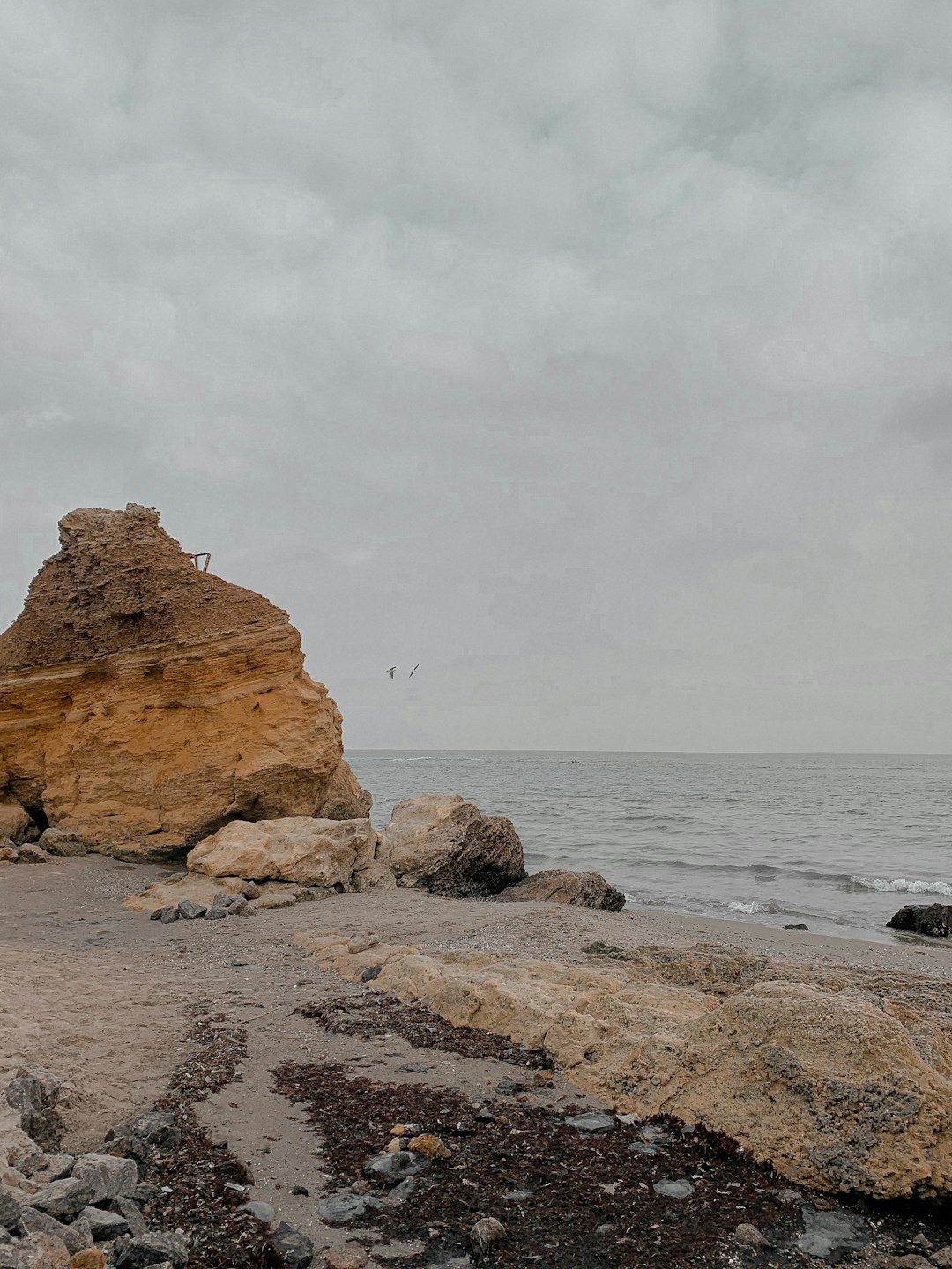 brown rock formation on sea shore during daytime