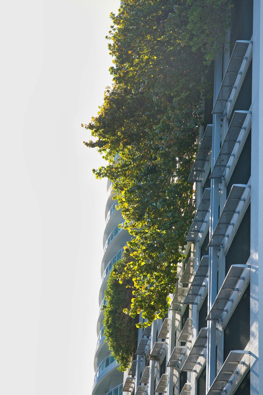 green trees beside gray concrete building during daytime