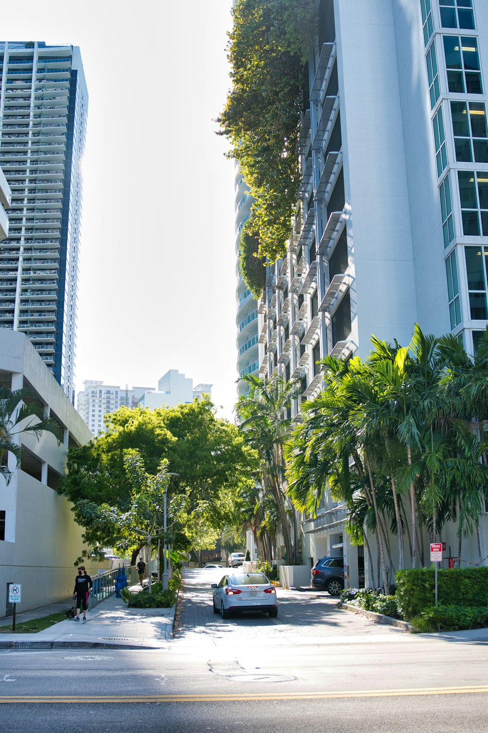 cars parked on side of the road near high rise buildings during daytime