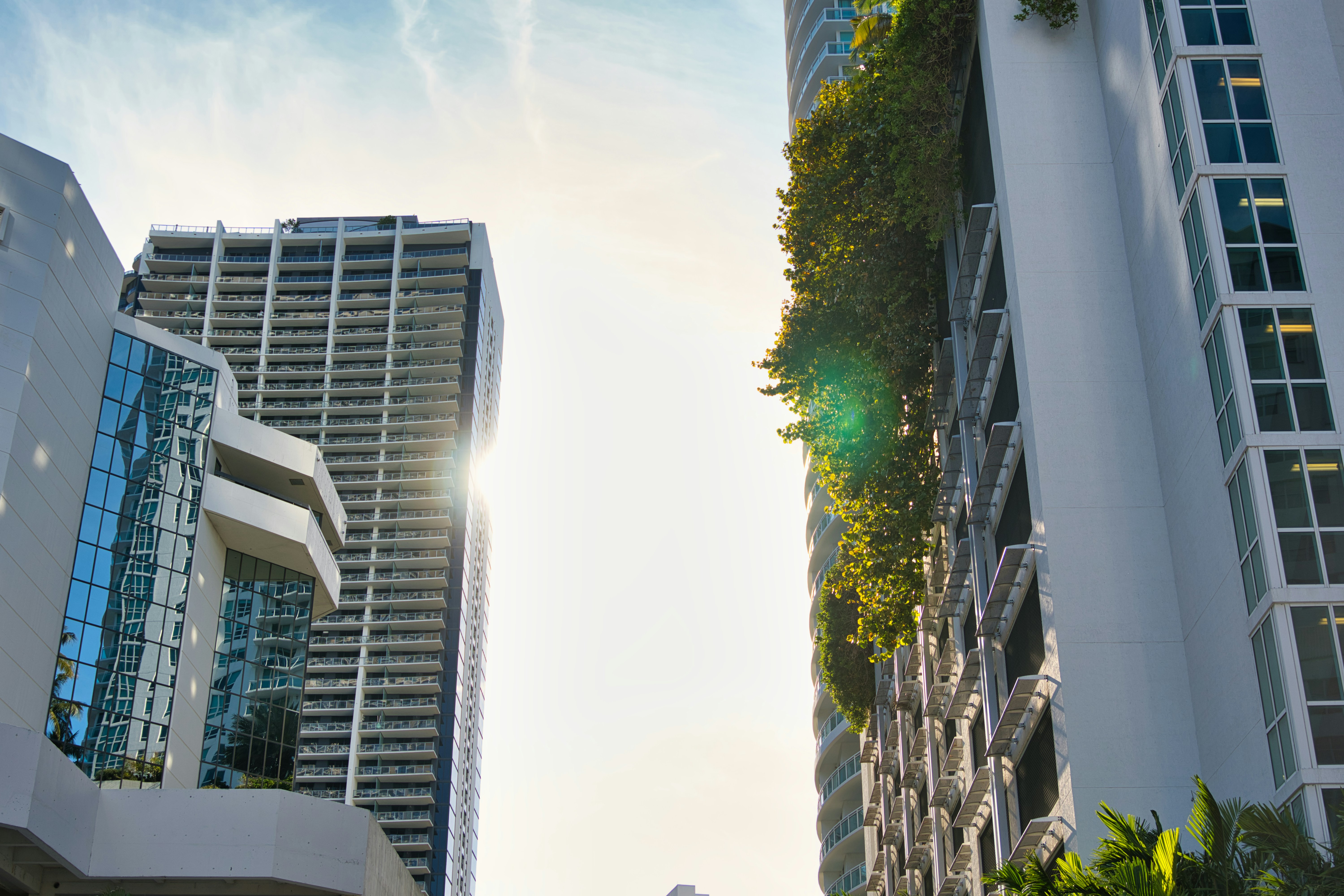 Photo by nickfuentes_