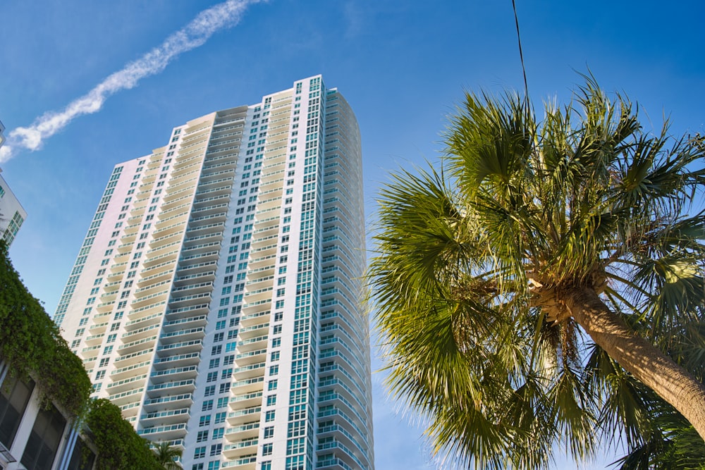 green palm tree near white concrete building during daytime