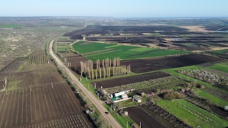 Aerial view of expansive farmland, featuring various plots with dark soil and green crops. A dirt road runs through the fields, with rows of tall trees lining parts of the road. Small farm buildings are visible near the trees. The landscape stretches into the distance with an open sky.