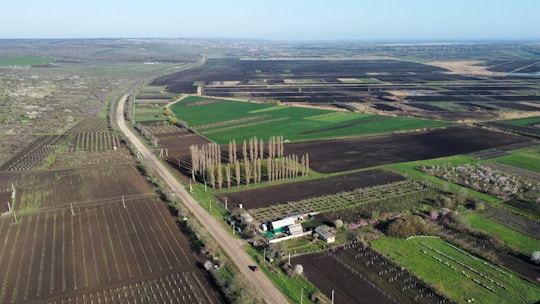 Aerial view of expansive farmland, featuring various plots with dark soil and green crops. A dirt road runs through the fields, with rows of tall trees lining parts of the road. Small farm buildings are visible near the trees. The landscape stretches into the distance with an open sky.