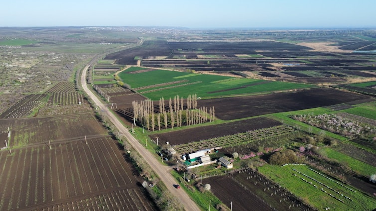 Aerial view of expansive farmland, featuring various plots with dark soil and green crops. A dirt road runs through the fields, with rows of tall trees lining parts of the road. Small farm buildings are visible near the trees. The landscape stretches into the distance with an open sky.