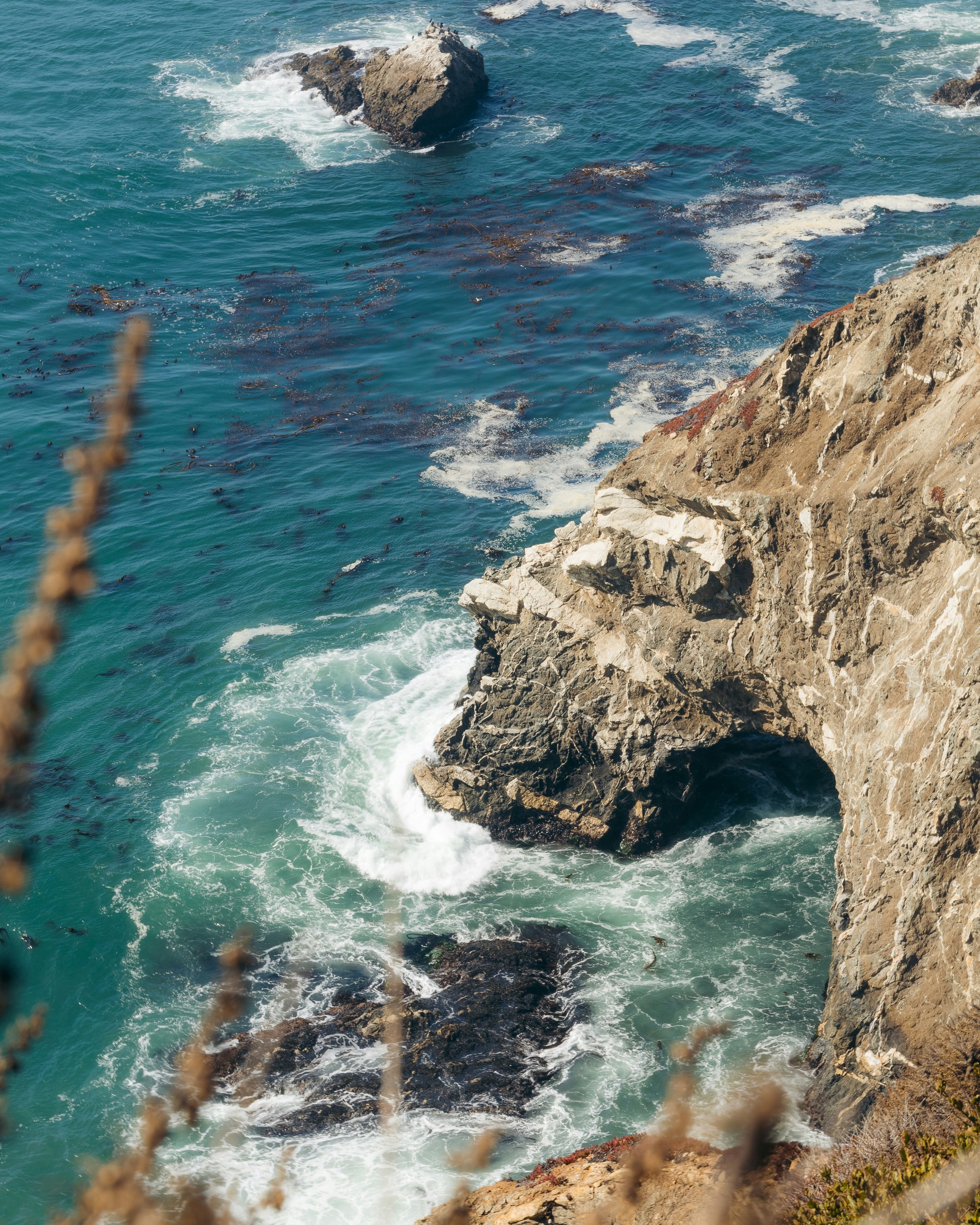 Photo by jphotomedia