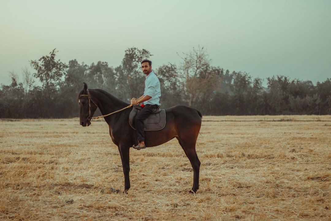 woman in white long sleeve shirt riding brown horse during daytime