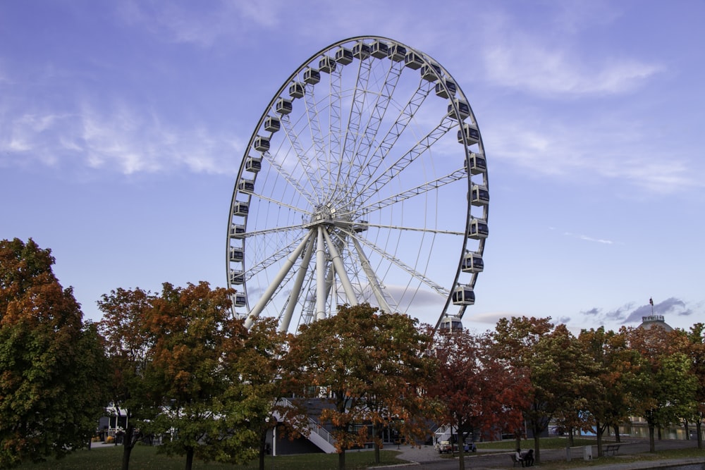 white ferris wheel under blue sky during daytime