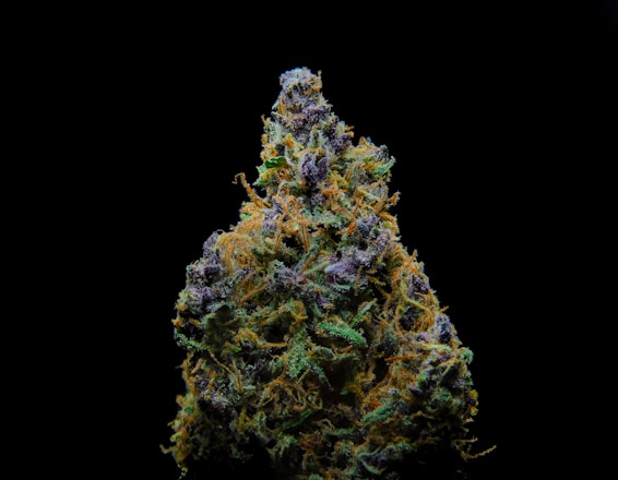 Close-up of premium cannabis buds with visible trichomes and vibrant green hues.