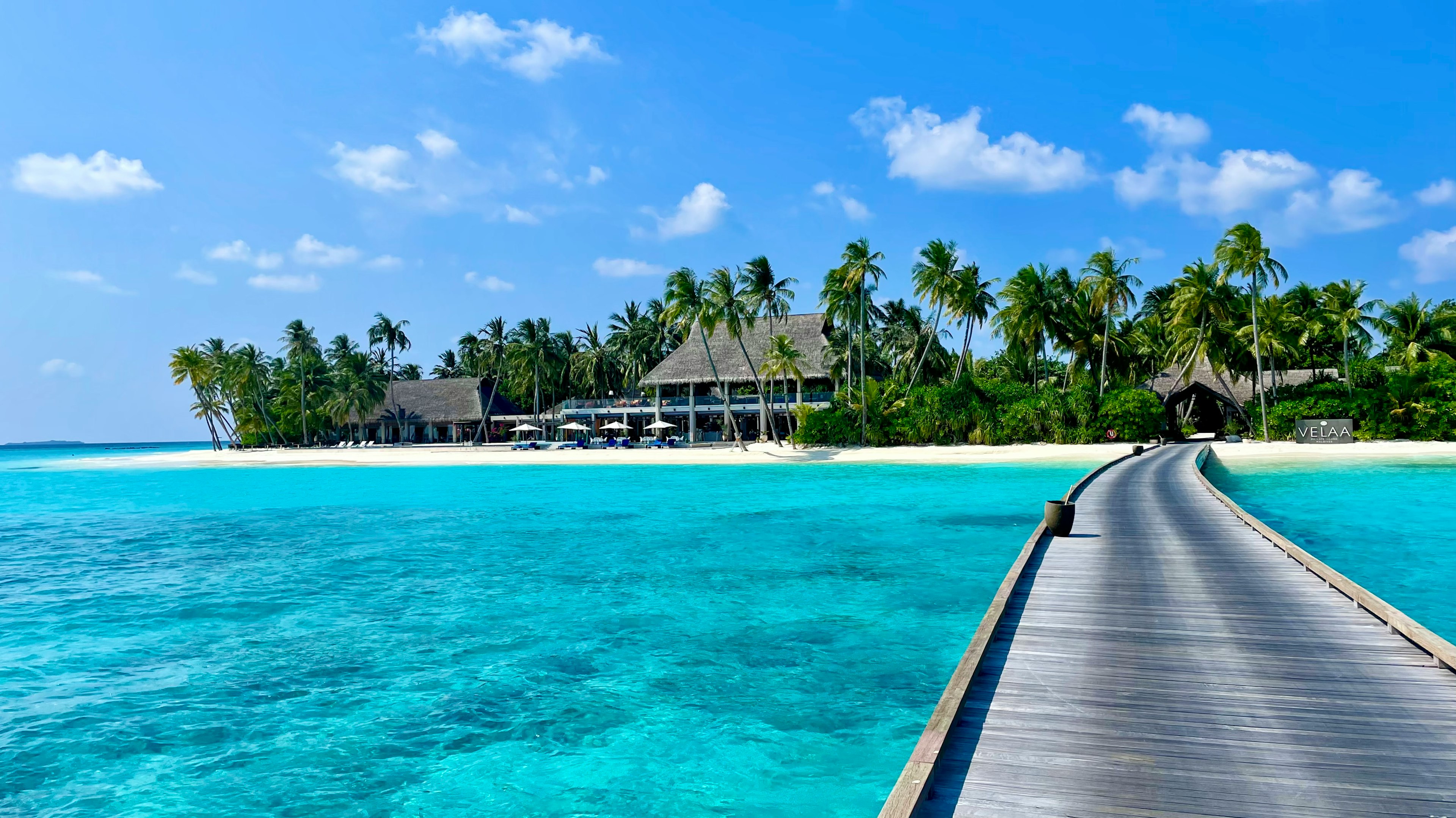 una spiaggia bianchissima piena di palme alle maldive
