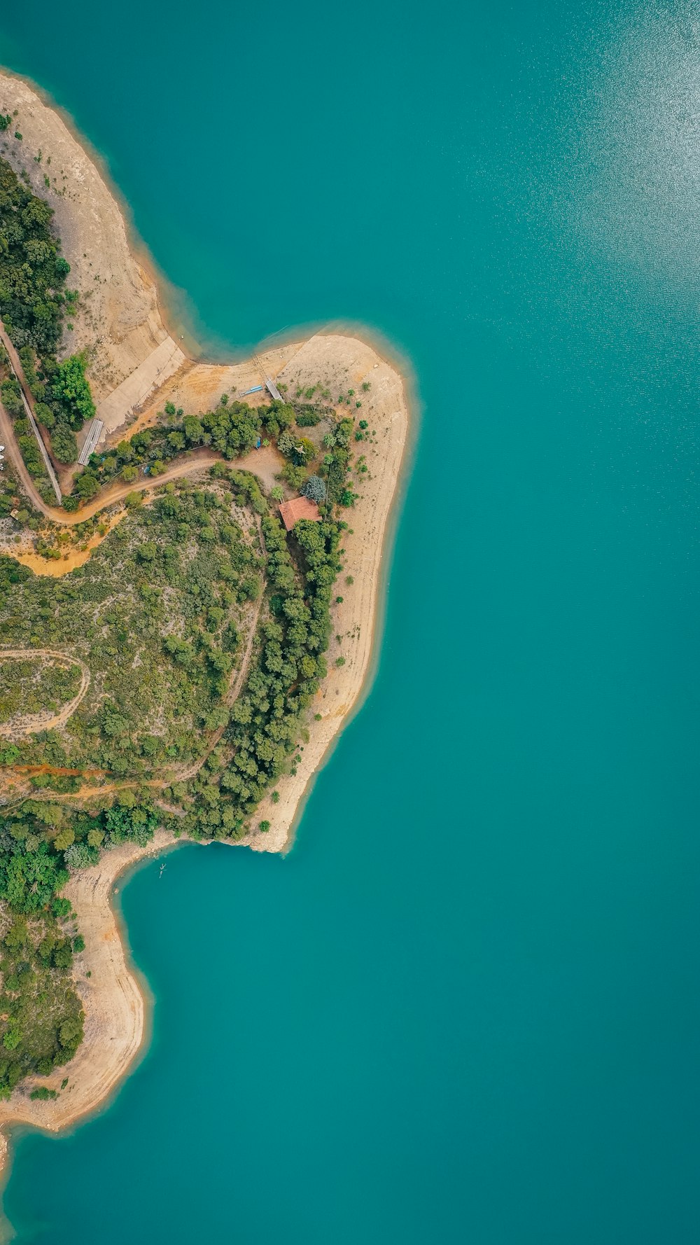 aerial view of green trees and body of water during daytime