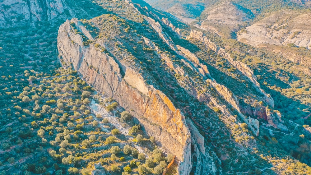 aerial view of green and brown mountains during daytime