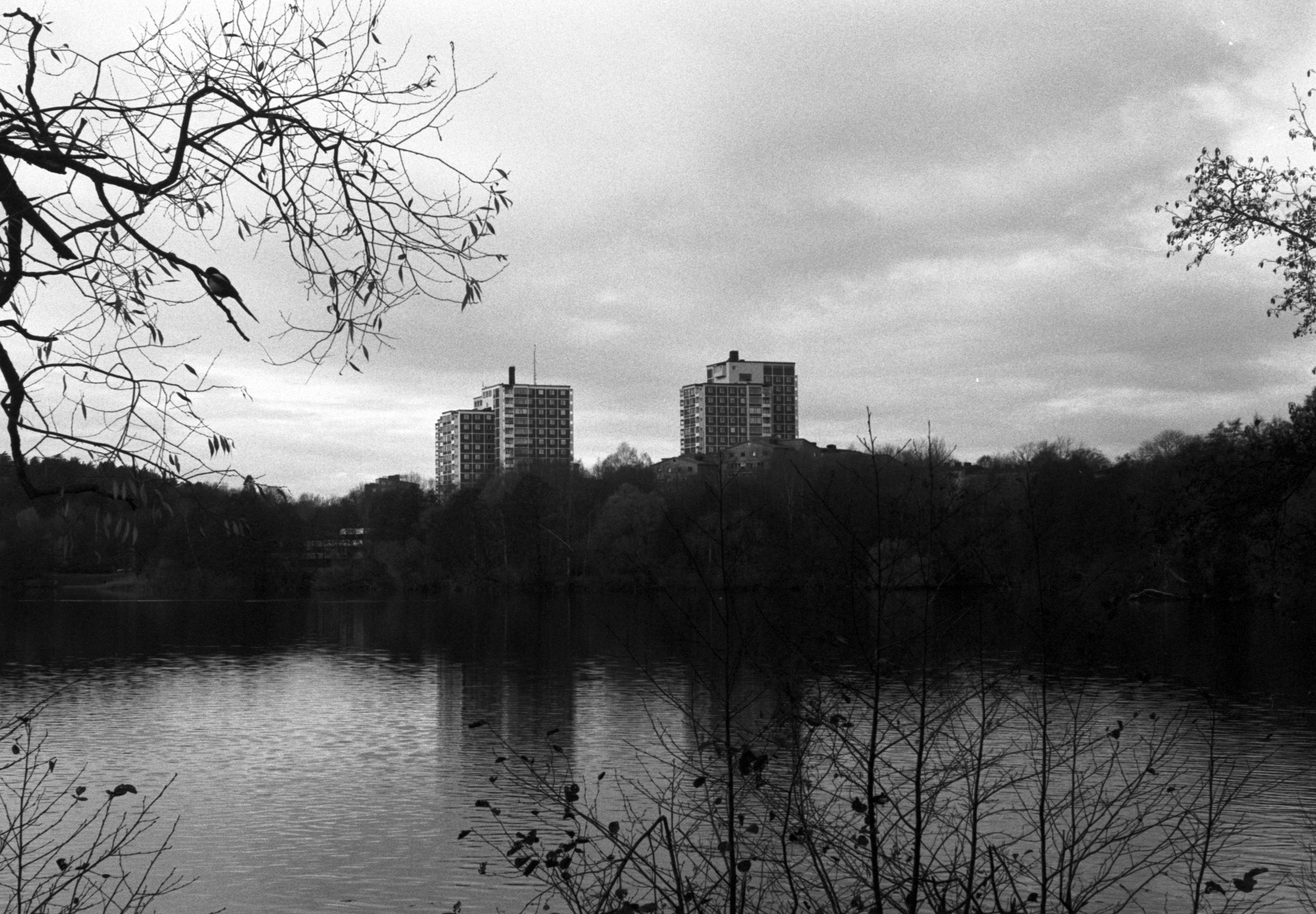 grayscale photo of city skyline