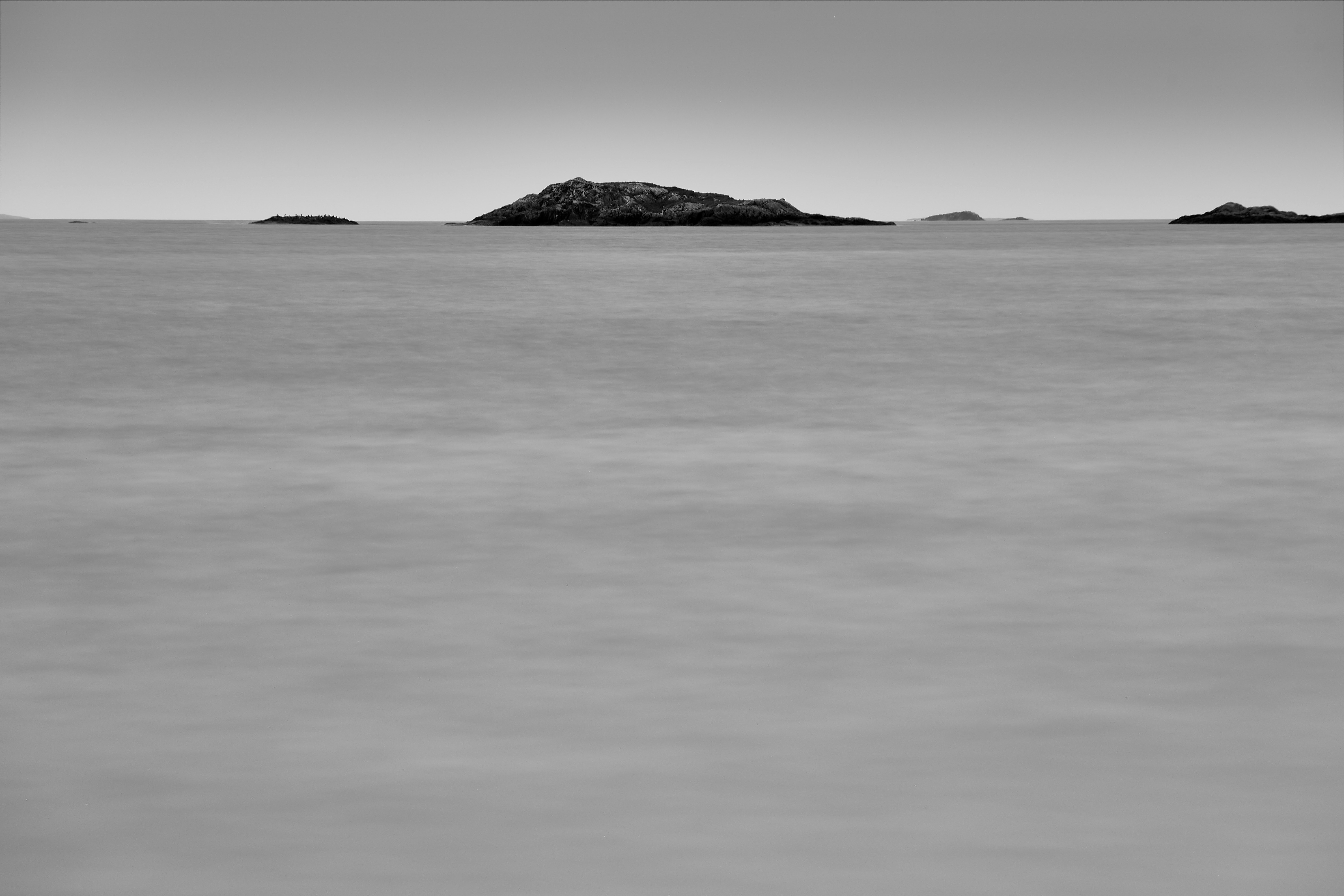 Photo by wolfgang_hasselmann