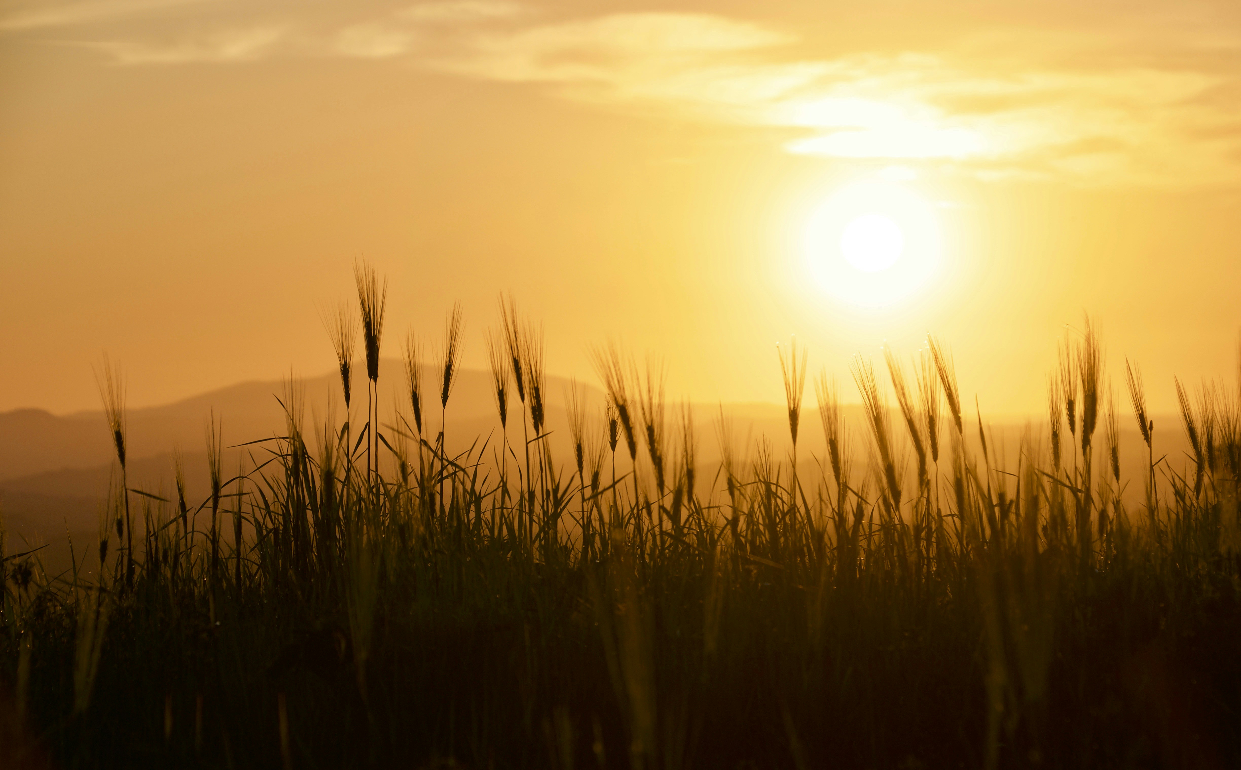 Photo by mariobeducci