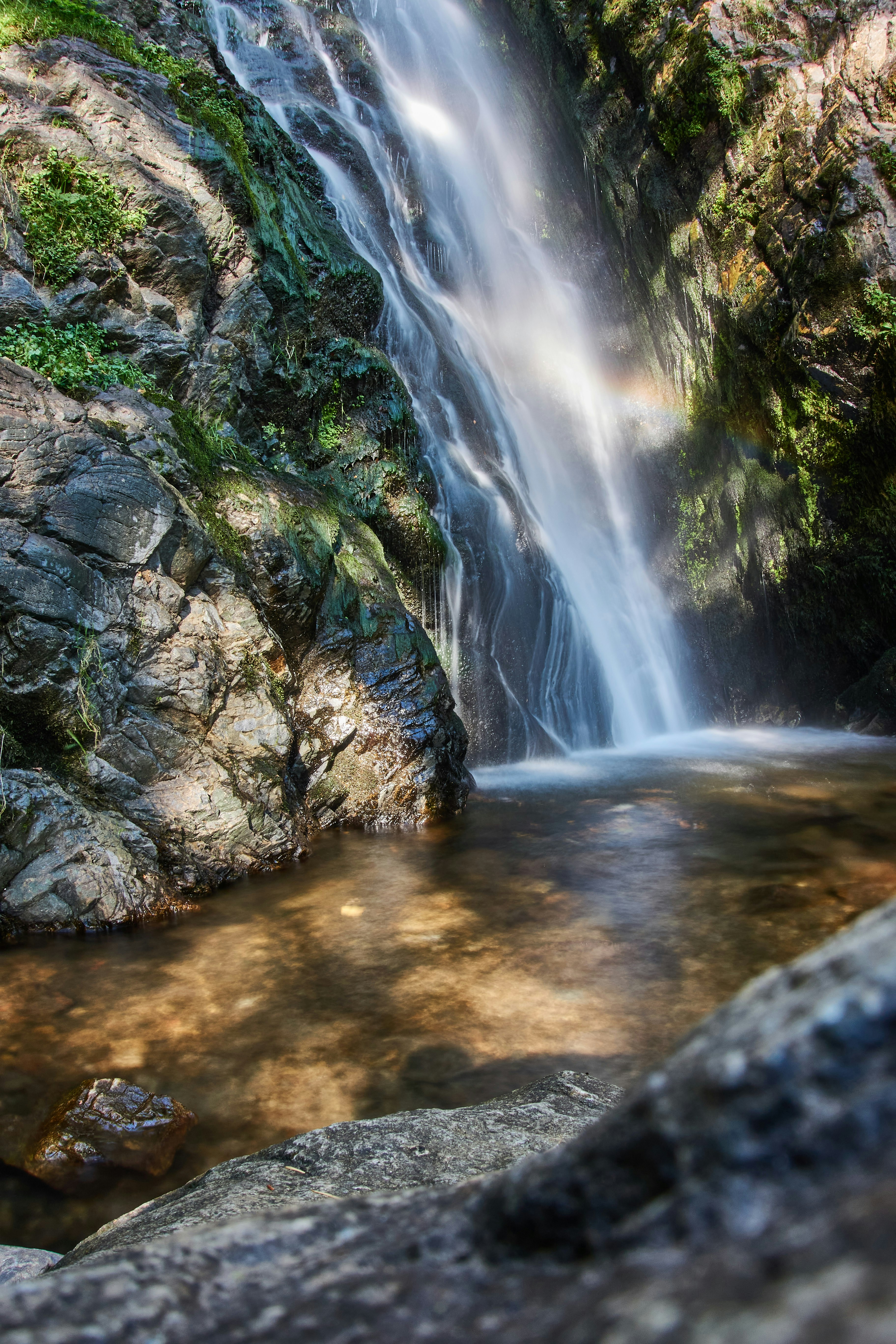 Photo by wolfgang_hasselmann