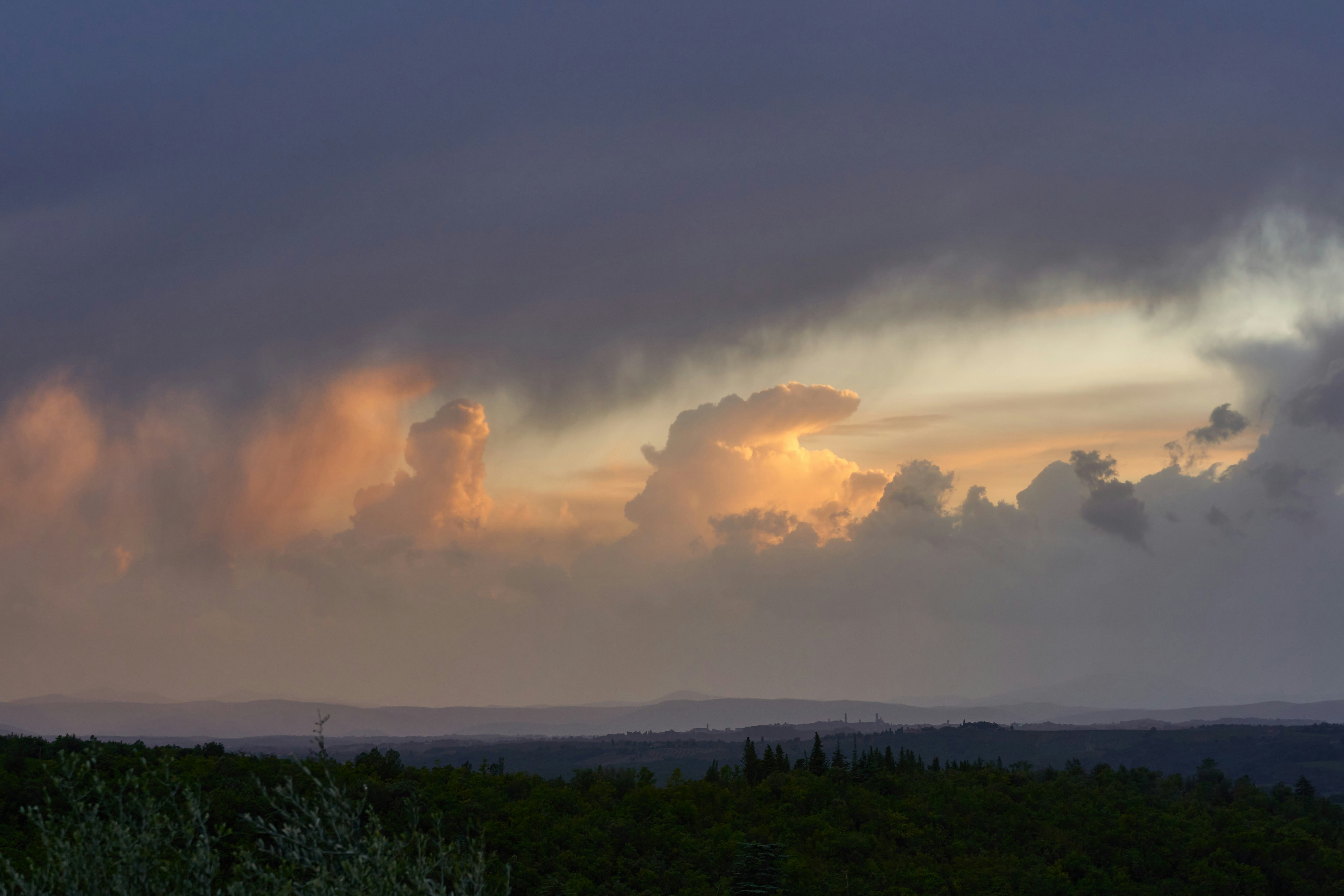 Photo by wolfgang_hasselmann