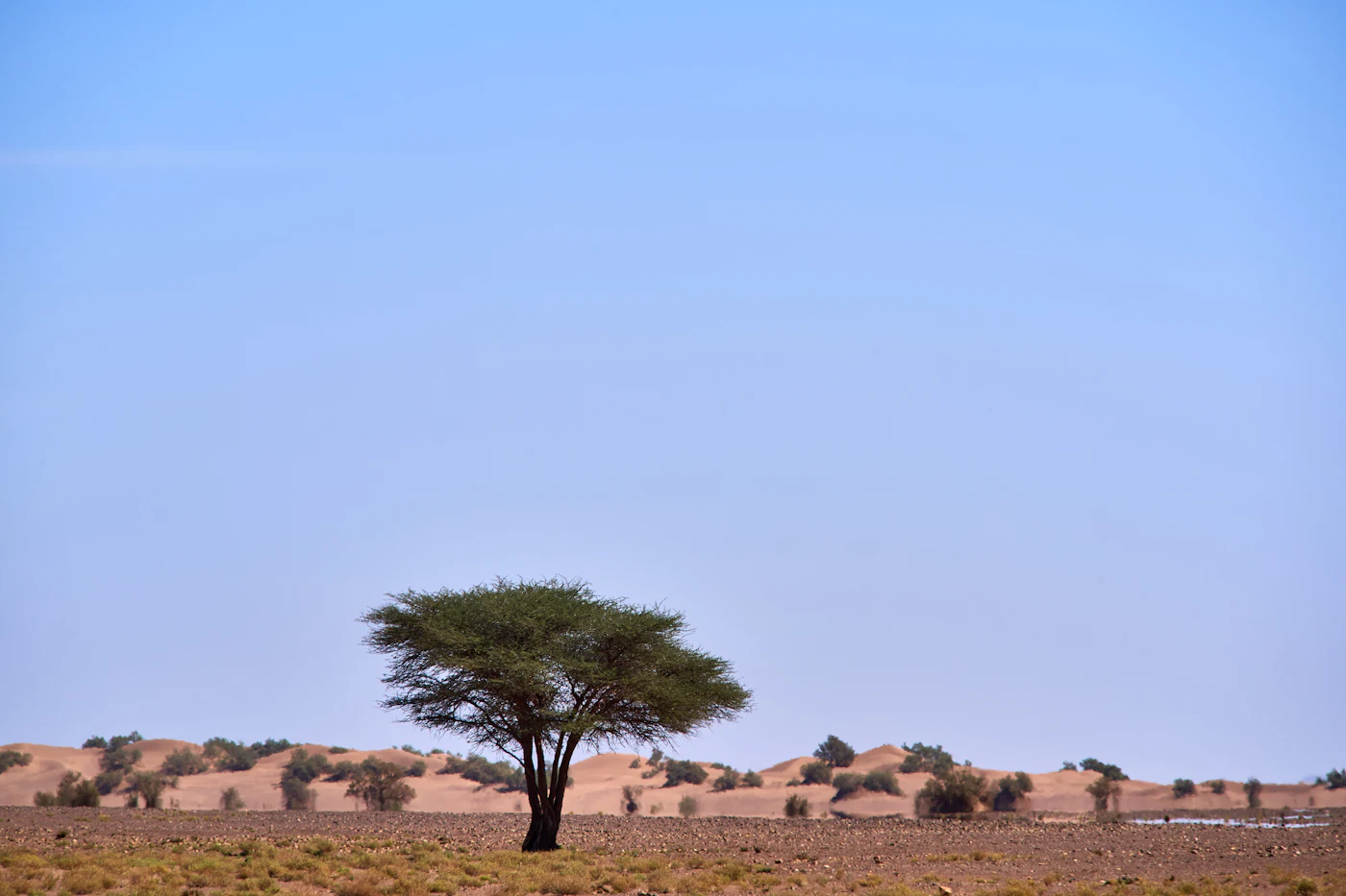 Le Sahel, notre terrain